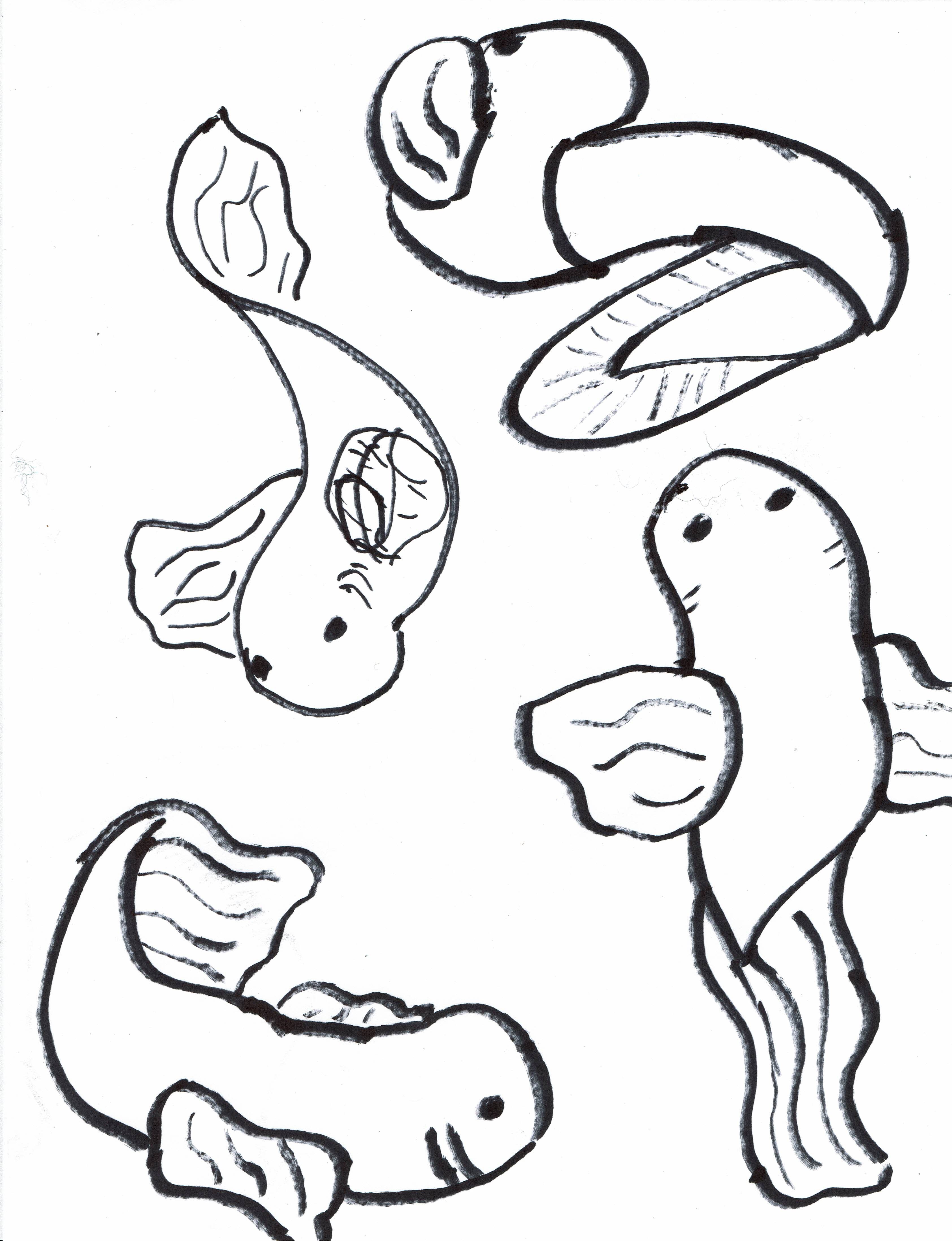 freehand black sharpie doodles of fish